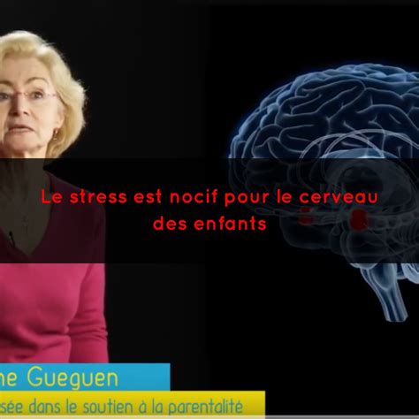 concours gifle|«Cest ultra nocif pour le cerveau» : la